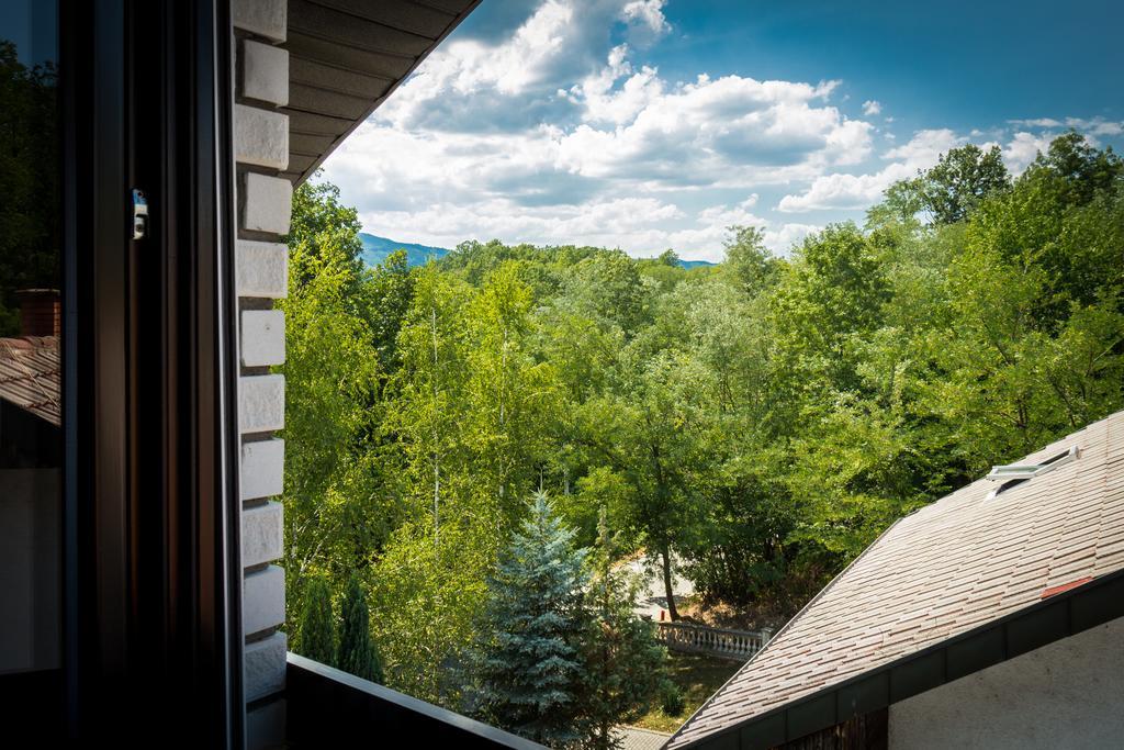 Hotel Danica Vrnjačka Banja Quarto foto